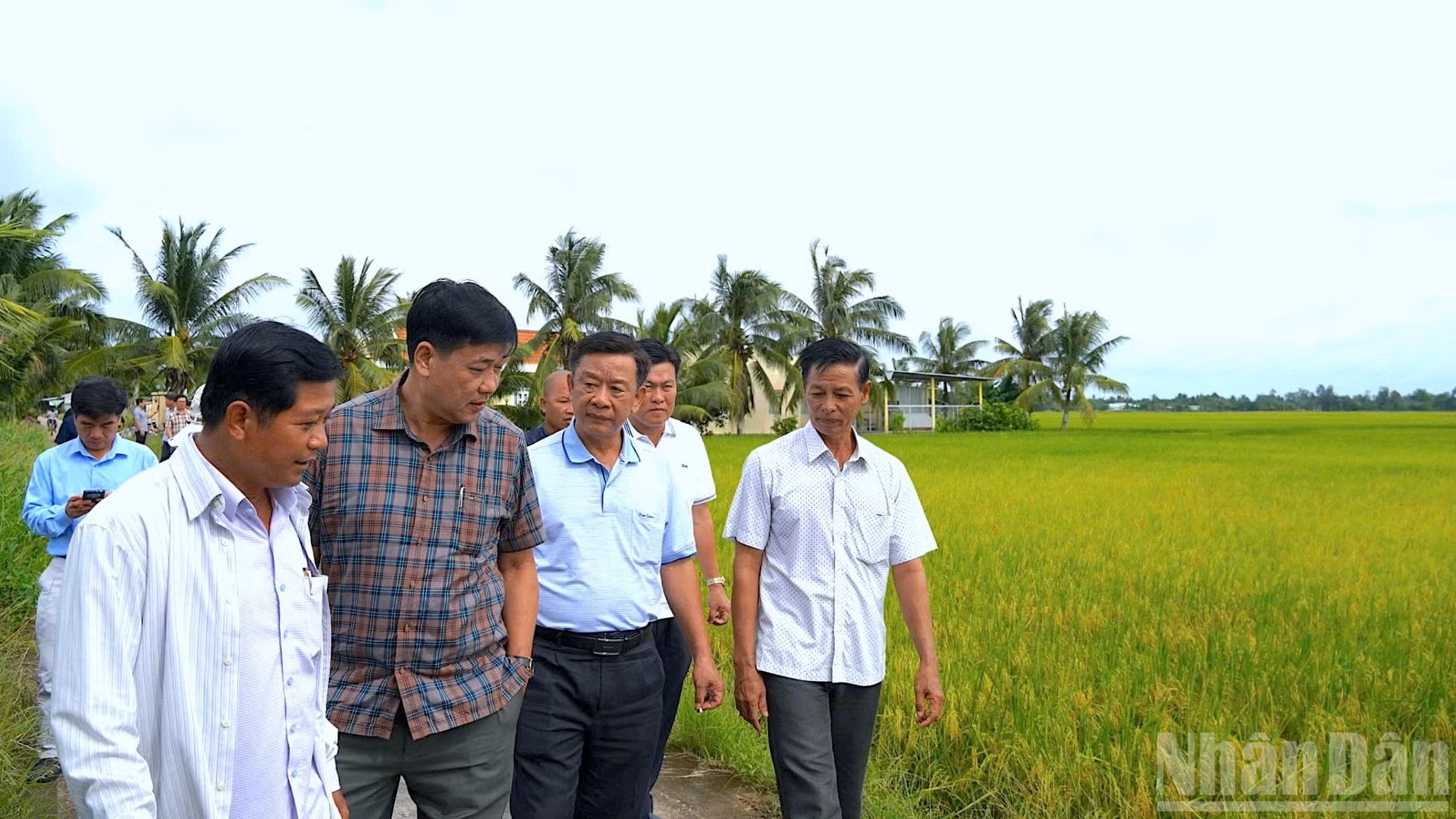 ndo_br_anh-1-5583.jpg
