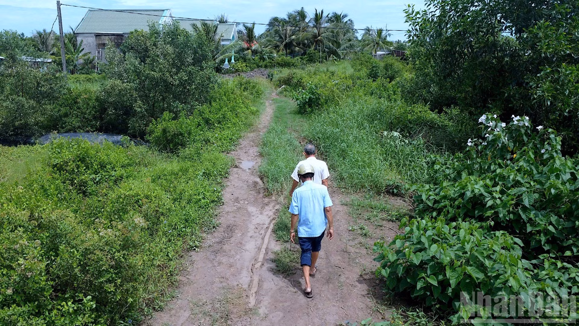 Dù đã hoàn thành xong nền đường đất 4m nhưng người dân tuyến kênh Chà Là (xã Đất Mới) chờ hoài chưa thấy đầu tư làm con lộ bê tông mới.