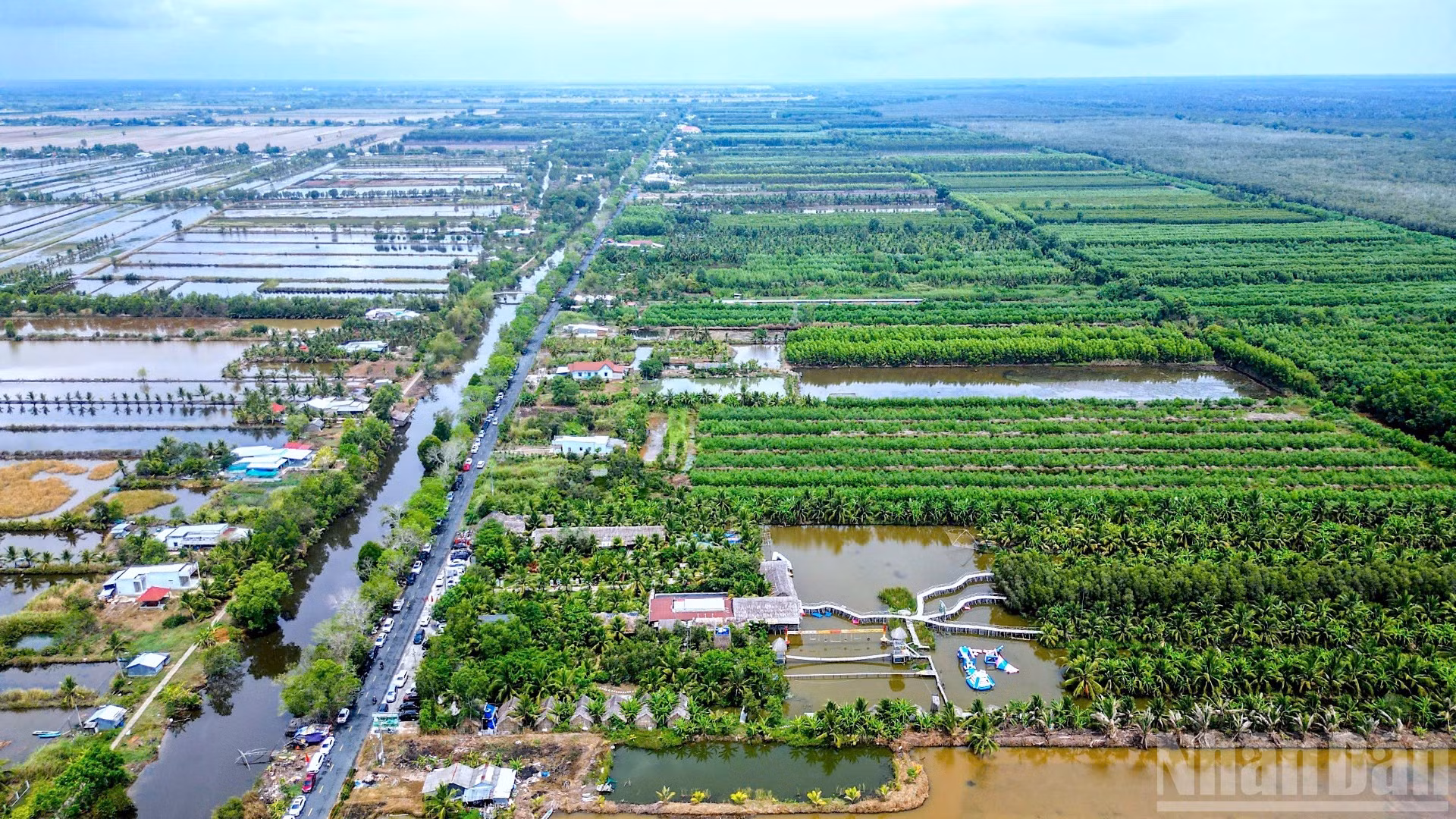 ndo_br_toa-dam-1-2665.jpg