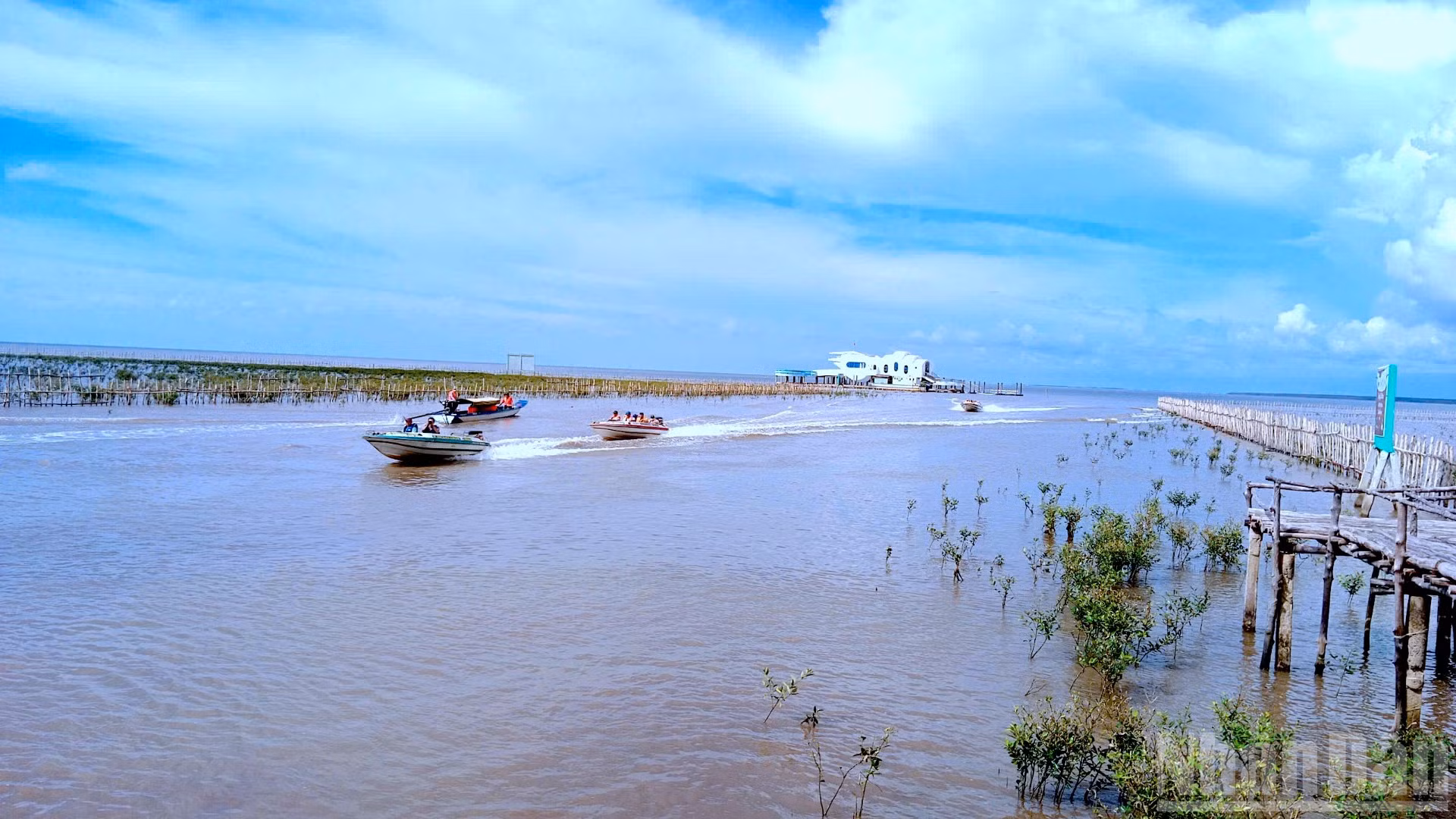 ndo_br_vi-dan-16-4928.jpg