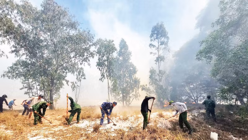 Tỉnh Quảng Trị hiện có khoảng 250.000ha rừng có nguy cơ cháy cao, tập trung chủ yếu ở vùng cát ven biển.