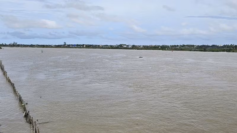 Hạ lưu sông Yên ở tỉnh Thanh Hóa sau bão số 5.