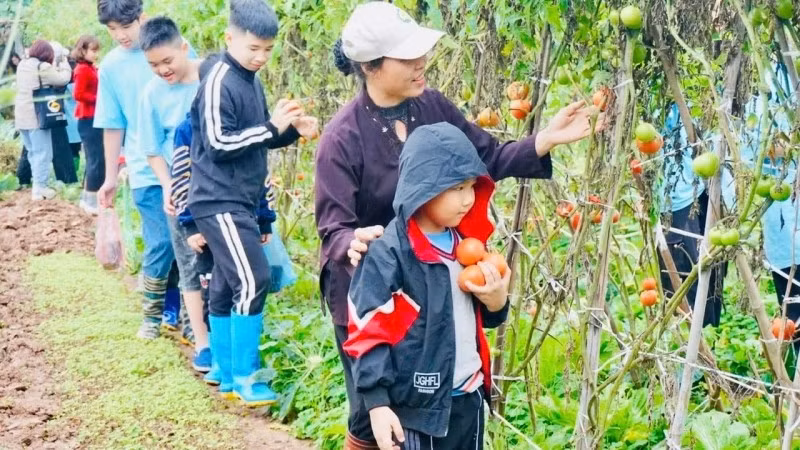Du khách trải nghiệm một tour du lịch nông nghiệp xanh tại khu vực ven đô Hà Nội. (Ảnh: BÍCH HỒNG)