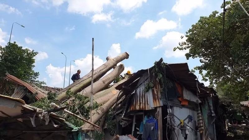 Mưa lớn kèm lốc xoáy quét qua địa bàn Quận 6 (cũ) khiến trường học tốc mái, cây xanh ngã đổ. (Ảnh: NGUYỄN TÂN/Báo Nhân Dân)