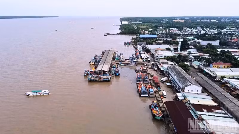 Cảng cá Trần Đề nhìn từ trên cao.