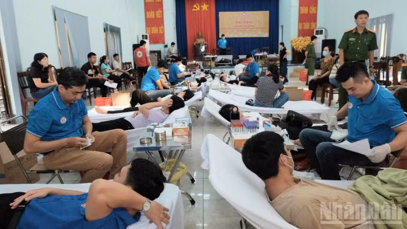 Các tình nguyện viên tham gia hiến máu cứu người.