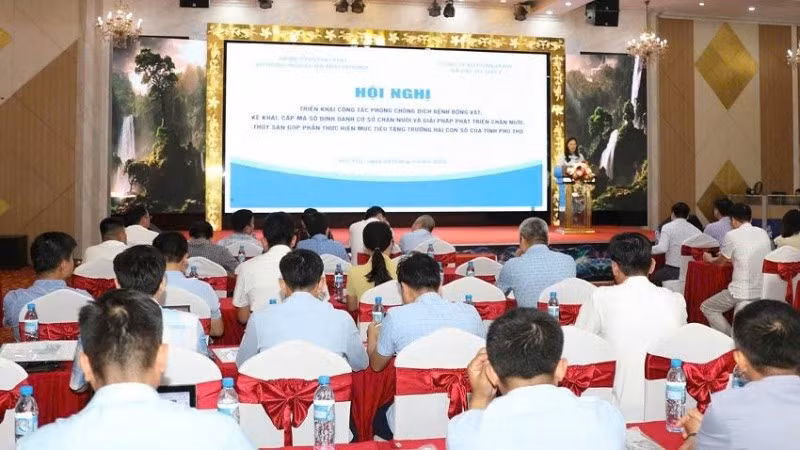 Các đại biểu tham dự hội nghị.