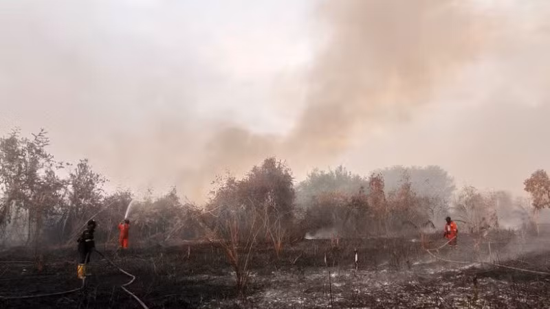 Lực lượng cứu hỏa nỗ lực dập lửa cháy rừng tại Kampar, tỉnh Riau, Indonesia, ngày 20/7/2025. (Ảnh: THX/TTXVN)