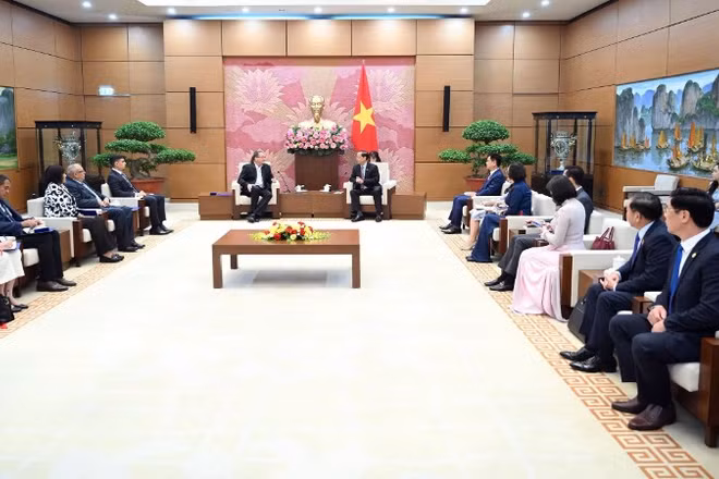 Quang cảnh buổi tiếp. 