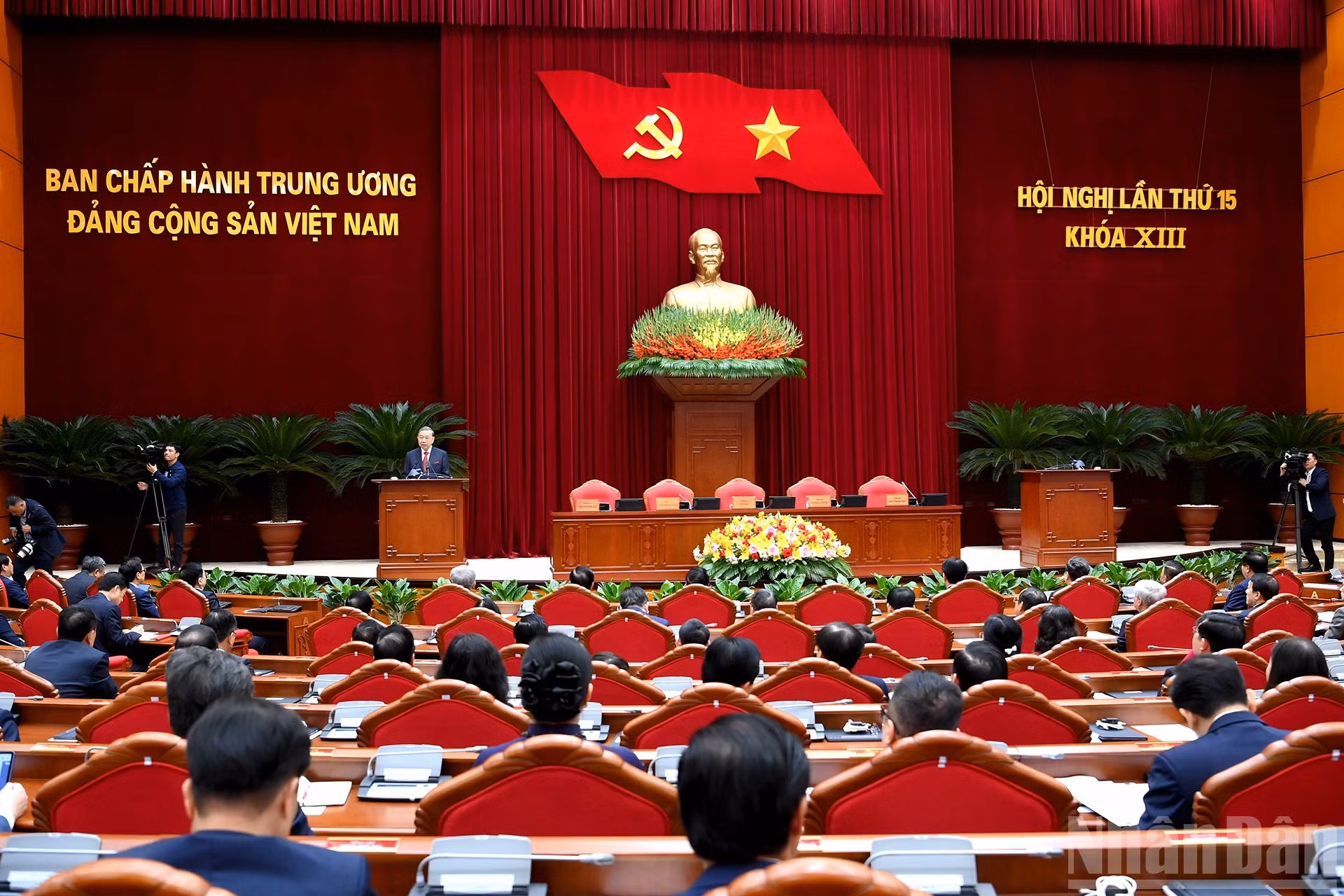 image-1.jpg