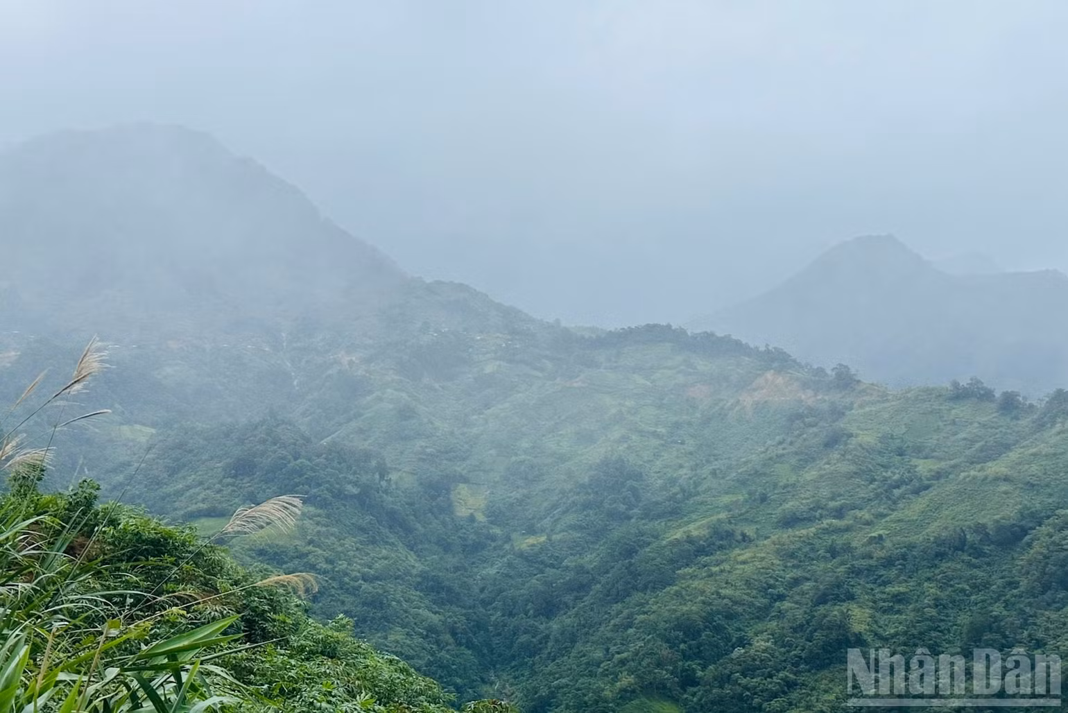 ndo_br_h3-8675.jpg