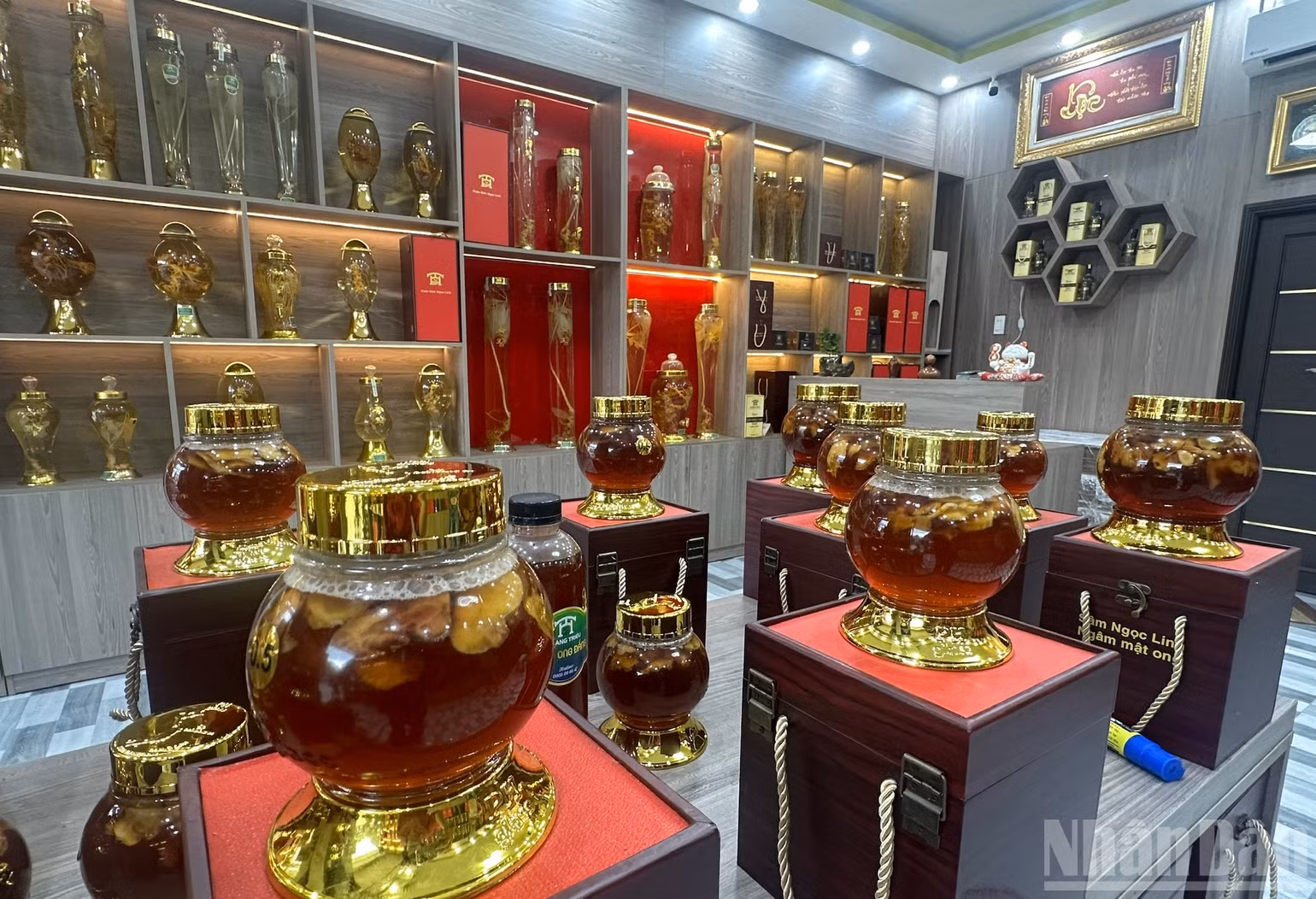 ndo_br_hoang-trieu-518.jpg