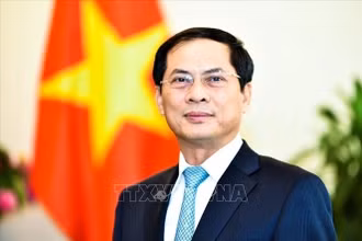 Đóng góp có trách nhiệm của Việt Nam vào hợp tác toàn cầu, tạo động lực mới cho quan hệ Việt Nam - Nhật Bản 