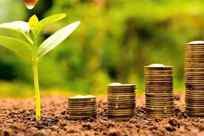 Tuần giao dịch giữa tháng 11 tiếp tục ghi nhận nhiều doanh nghiệp duy trì chính sách chia cổ tức bằng tiền mặt ở mức cao. (Ảnh minh họa)