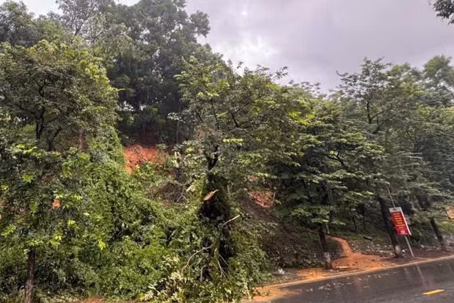 Mưa lớn kéo dài, tỉnh Tuyên Quang cảnh báo nguy cơ lũ quét, sạt lở đất ở tất cả các xã, phường.