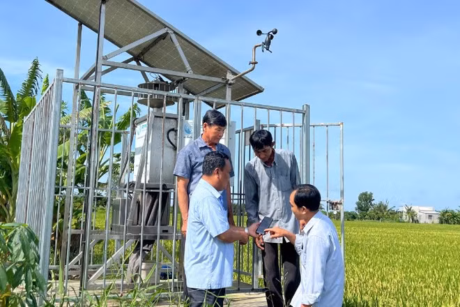 Sản xuất lúa ứng dụng công nghệ thông minh tại xã Tân Xuân (tỉnh Vĩnh Long) mang lại hiệu quả kinh tế cao.
