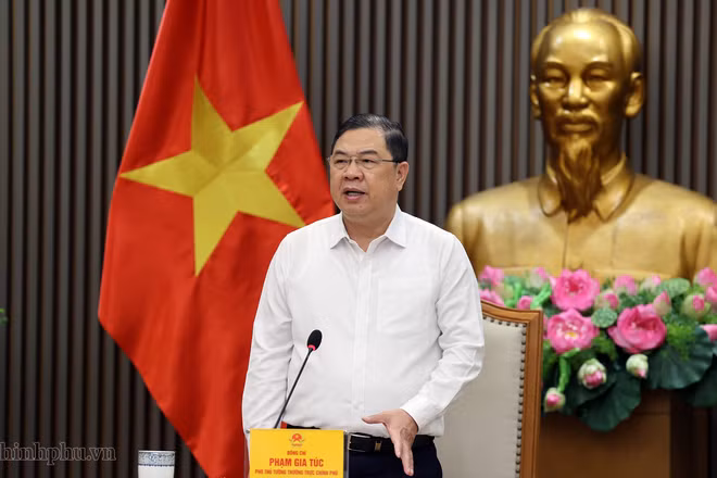 Phó Thủ tướng Thường trực Phạm Gia Túc kết luận cuộc họp. (Ảnh: VGP)