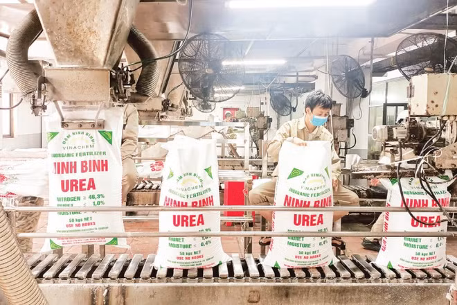Sản xuất u-rê tại Công ty Trách nhiệm hữu hạn một thành viên Đạm Ninh Bình.