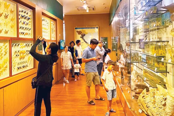 Khách tham quan Bảo tàng Thiên nhiên Việt Nam (Hà Nội).
