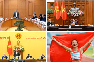 Tin nổi bật ngày 16/12: Tổng Bí thư Tô Lâm làm việc về thực hiện chủ trương, chính sách đối với người có công với cách mạng; Chuẩn bị khởi công, khánh thành, thông xe các dự án, công trình trọng điểm