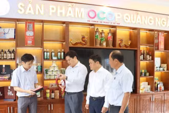 Thông qua sàn thương mại điện tử, sản phẩm OCOP Quảng Ngãi sẽ vươn xa, góp phần thúc đẩy phát triển thương mại điện tử đến vùng sâu, vùng xa.