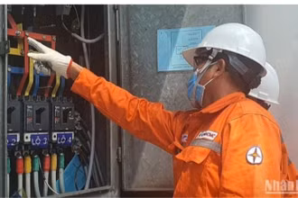 Công nhân Tổng Công ty Điện lực Thành phố Hồ Chí Minh.