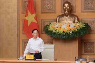 Phó Thủ tướng Bùi Thanh Sơn.