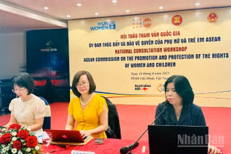Hội thảo tham vấn quốc gia Ủy ban Thúc đẩy và bảo vệ quyền của phụ nữ và trẻ em ASEAN là hoạt động hàng năm nhằm chia sẻ việc triển khai kế hoạch công tác của Ủy ban ở cấp khu vực và quốc gia. (Ảnh: VƯƠNG LÊ)