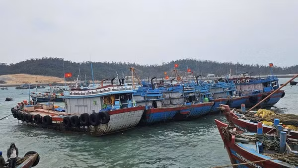 Tàu về neo đậu tại khu vực tránh trú bão ở đặc khu Cô Tô.