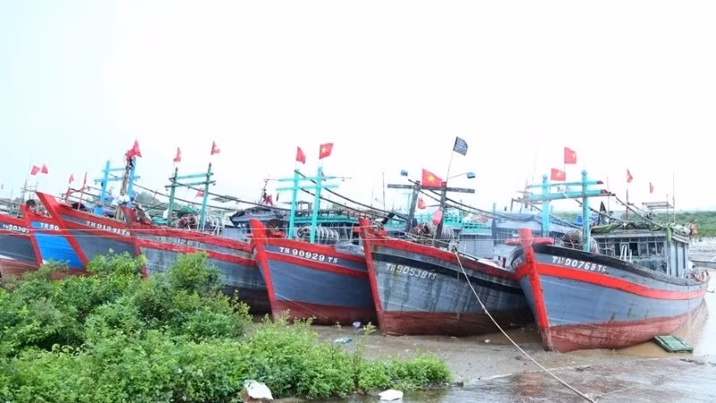 khu-neo-dau-tau-thuyen-tai-cang-ca-hoa-loc-xa-hoa-loc.jpg