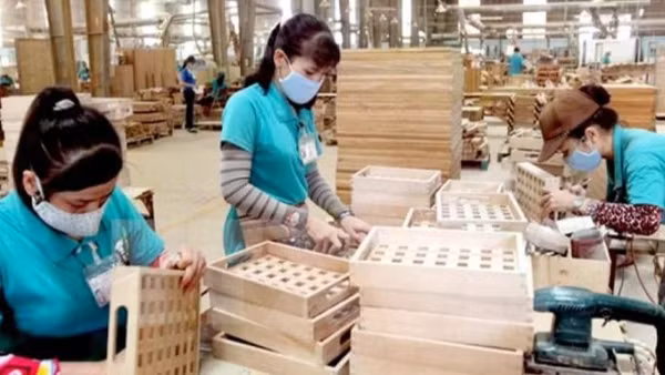 Xuất khẩu gỗ và sản phẩm gỗ của Việt Nam đạt khoảng 17,2 tỷ USD trong năm 2025. (Ảnh: Báo Nông nghiệp và Môi trường)