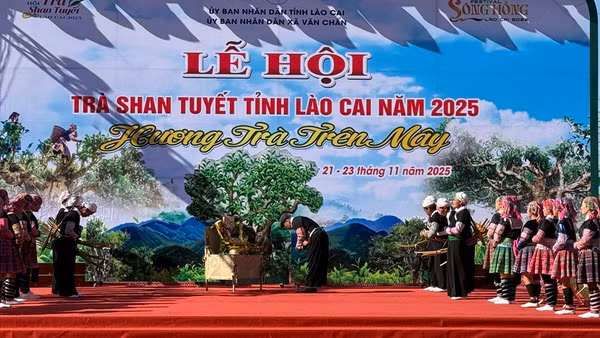 Tái hiện lễ cúng cây chè shan tuyết cổ. (Ảnh: THANH SƠN)