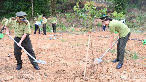Thoái hóa đất đe dọa sản xuất nông nghiệp, sinh kế và an ninh lương thực, đòi hỏi thay đổi cách ứng xử, tôn trọng giới hạn sinh thái và bảo vệ đất như nguồn vốn tự nhiên cho tương lai.