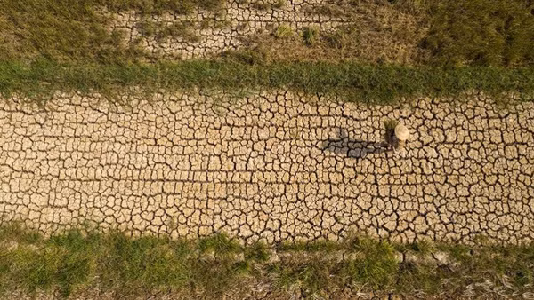 Dự báo từ nay đến hết năm 2026, El Niño tiếp tục duy trì cường độ mạnh đến rất mạnh. (Ảnh: TTXVN)