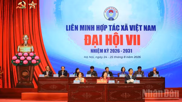 Sáng 25/8, Liên minh Hợp tác xã Việt Nam tổ chức phiên trọng thể Đại hội đại biểu toàn quốc lần thứ VII, nhiệm kỳ 2026-2031.