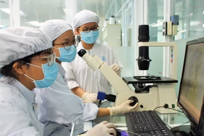 Hoạt động nghiên cứu khoa học tại Đại học Quốc gia Thành phố Hồ Chí Minh (Ảnh: CAO TÂN)