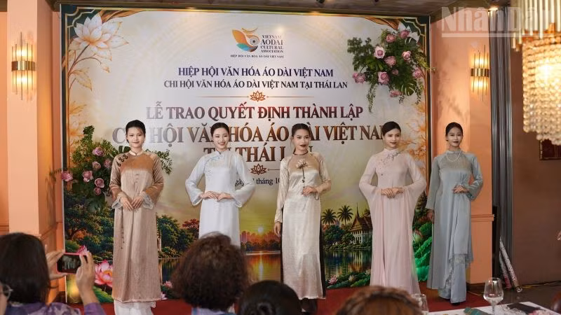 ndo_tr_hau03341.jpg
