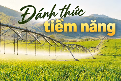 Đánh thức tiềm năng