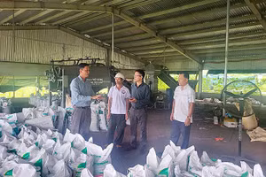 Kỹ sư nông nghiệp Phạm Ngọc Hồ chia sẻ về quy trình sản xuất phân bón hữu cơ.