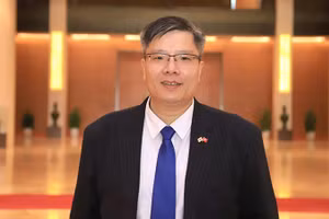 TS Trần Hải Linh.