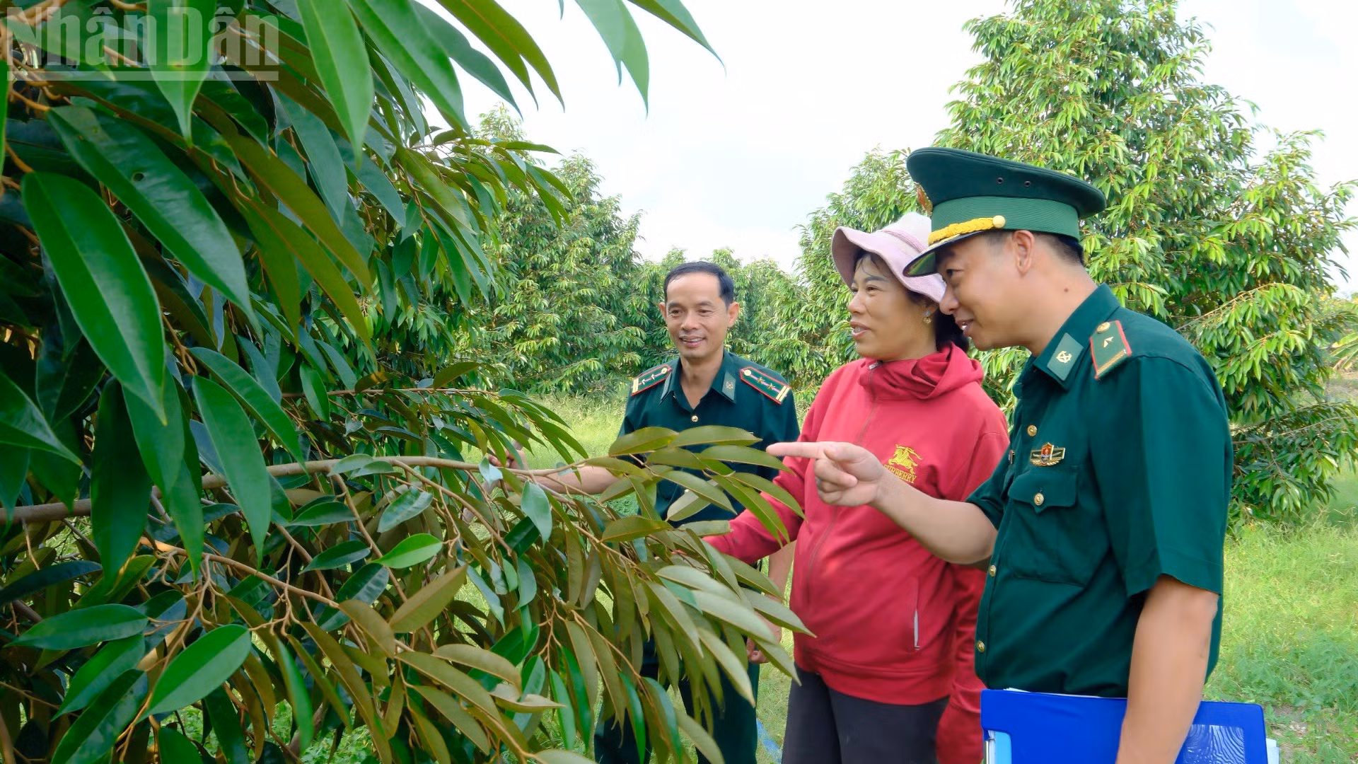 Bộ đội Biên phòng Đồng Nai giúp nhân dân xã Tân Tiến phát triển kinh tế. (Ảnh: NS)