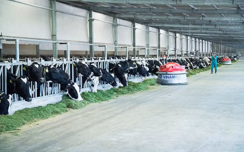 Vinamilk nỗ lực nhân rộng mô hình trang trại sinh thái -0