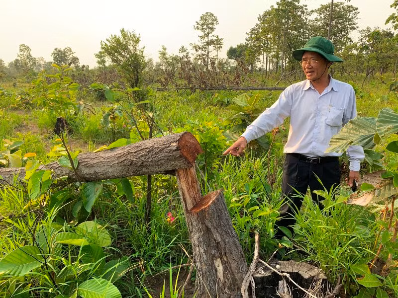 Đắk Lắk xử lý nghiêm trong công tác quản lý, bảo vệ rừng -0