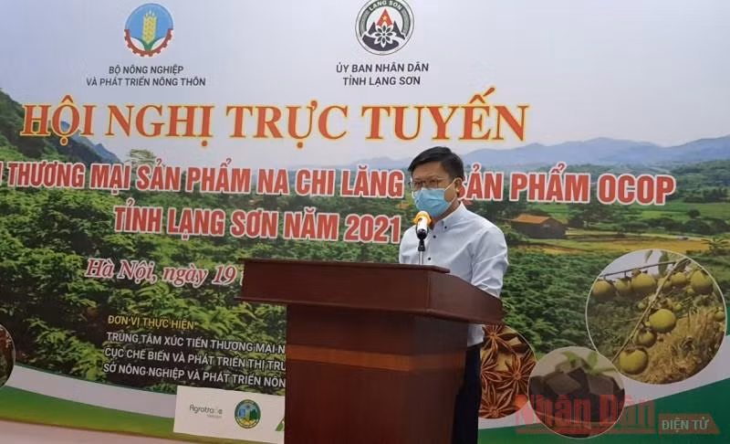 Thúc đẩy tiêu thụ na Chi Lăng và sản phẩm OCOP tỉnh Lạng Sơn -0