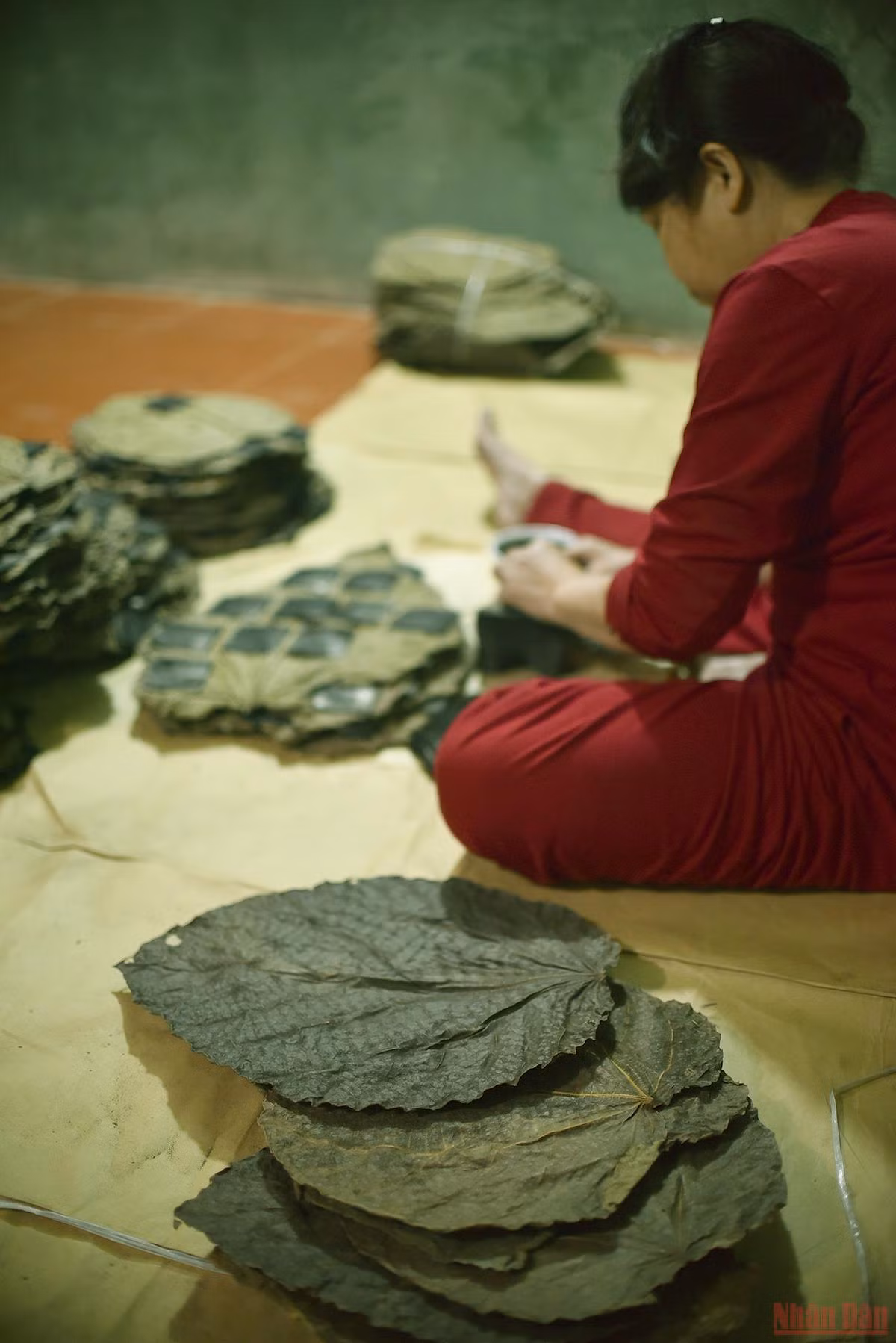 Lấp lánh quỳ vàng làng Kiêu Kỵ -0