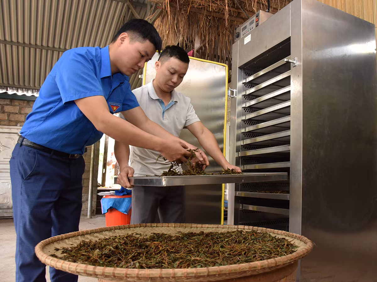 Những “Hạt giống đỏ” nơi vùng chiến khu xưa -0