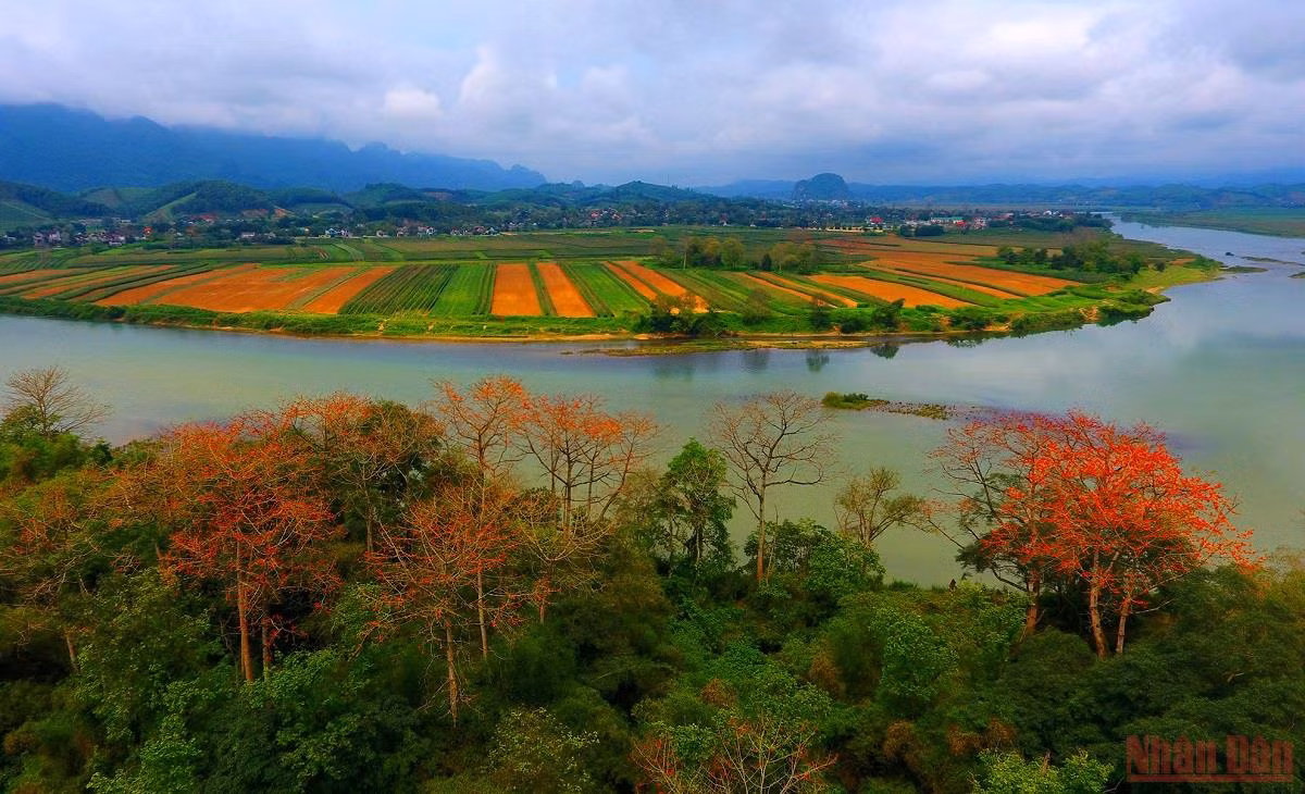 Rực đỏ mùa hoa gạo bên sông Lam -0