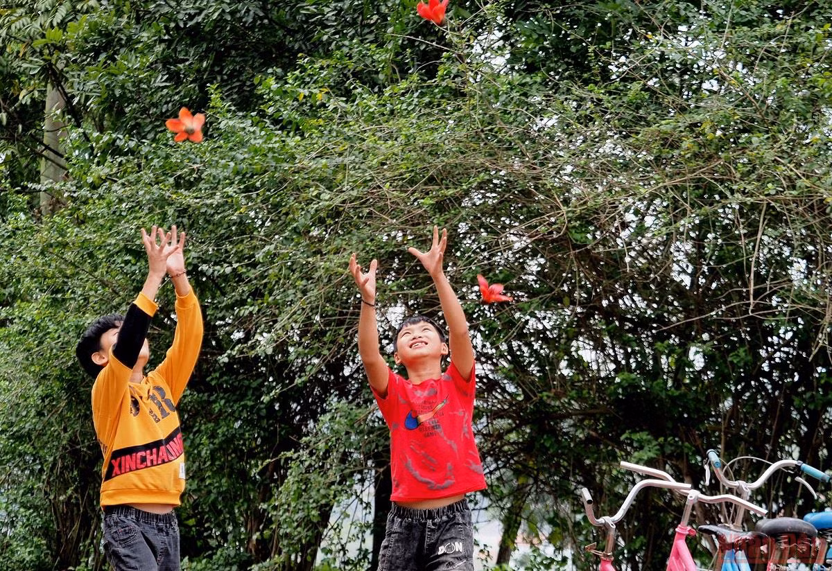 Rực đỏ mùa hoa gạo bên sông Lam -0