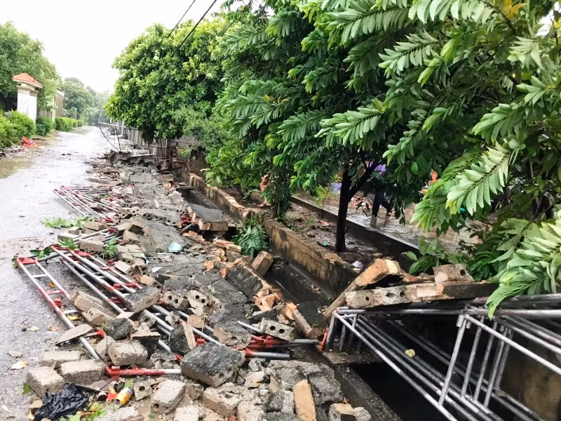 Bão số 5 đã gây sập nhà, đổ cây -0