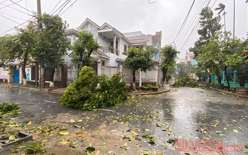 Đã có cây đổ, nhà tốc mái do bão số 9 -0